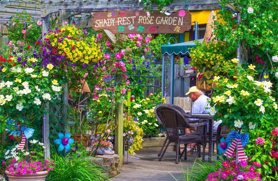 Flowers and outdoor tables in The Shady Rest’s rose garden